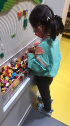 -乐高授权专卖店(朝阳大悦城店)