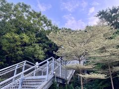 -佛山华盖山公园