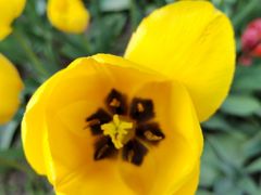 -长春公园(普阳街道)