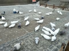 -人民防洪胜利纪念塔