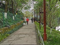 -重庆彩云湖湿地公园
