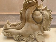 -呼和浩特博物馆