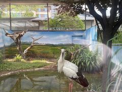 -成都动物园