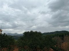 -深圳仙湖植物园