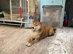 -小时光咖啡馆(北锣鼓巷店)