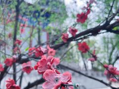 -盛世南宫影视城(北普陀影视城)