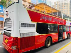 -BUS TOUR观光巴士