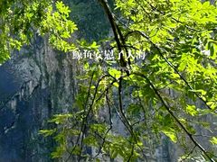 -刘伯温故里景区百丈漈