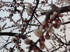 -南翠屏公园