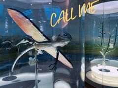 -辽宁古生物博物馆