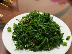 拌野菜-明月食府(二区干二路店)