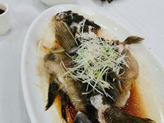 -东江海鲜酒家(艺都分店)