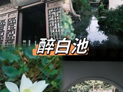 -上海醉白池公园