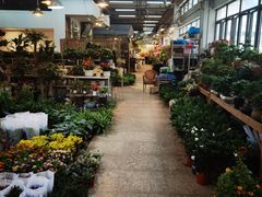 -双季花艺园艺市场(浦东店)