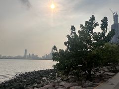 -深圳湾公园(南山区)