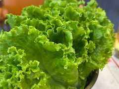 -杨记齐齐哈尔烤肉(总店)