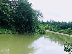 -生宇山珍野生菌汤锅•始于1999(双流古塔店)