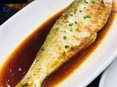 鲥鱼-奉城家宴(印象奉化店)