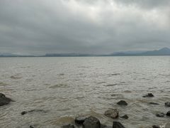 -深圳湾公园(南山区)