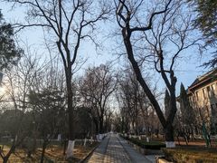 -山东大学(趵突泉校区)