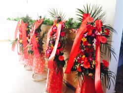 -星宝贝儿童摄影