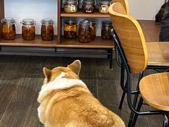 -肥朵食堂(带梦胡同店)