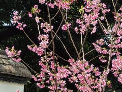 -乌山风景区