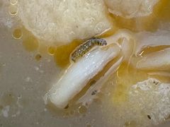 -红丫骨汤麻辣烫(汽车站店)