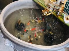 -吉顺坑烤