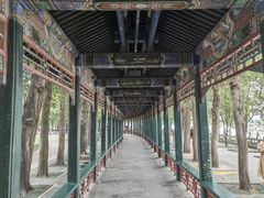 -颐和园