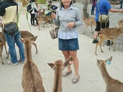 -鹿境梅花鹿生态园区