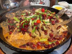 -老板恋上鱼(高新万达店)
