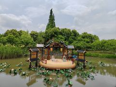 -西山漾湿地公园