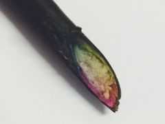 iphone_upload_pic-ROSEONLY诺誓(青岛万象城店)