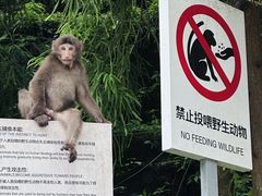 -西岭雪山大飞水景区