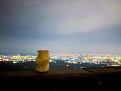 -紫金山山顶公园