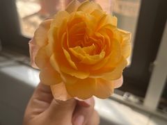 -中环花鸟鱼虫市场