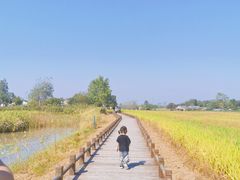 -小岭南壹号院私房菜