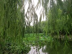 -近春园遗址