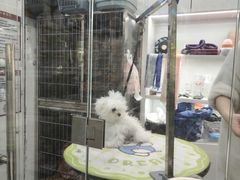 -它主义宠物(梁溪万达店)