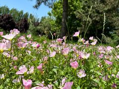 -汉长安城未央宫国家考古遗址公园
