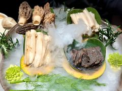 -蘑界·野生菌火锅(深业上城店)