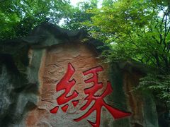 景点-杭州黄龙洞
