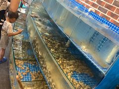 水产区-蟹谢蒸鲜自助餐厅