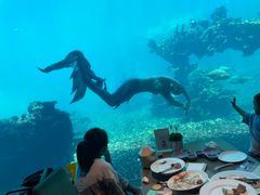 -海棠湾洲际-涛·海底餐厅·美人鱼·自助餐·海底隧道