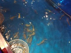 -钳真多钓虾馆·小龙虾海鲜烧烤(九六广场店)