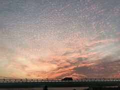 -演武大桥观景平台