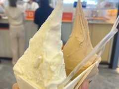 -野人先生现做冰淇淋(西安赛格店)