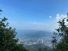 -梧桐山风景名胜区