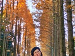 -昆山城市生态森林公园